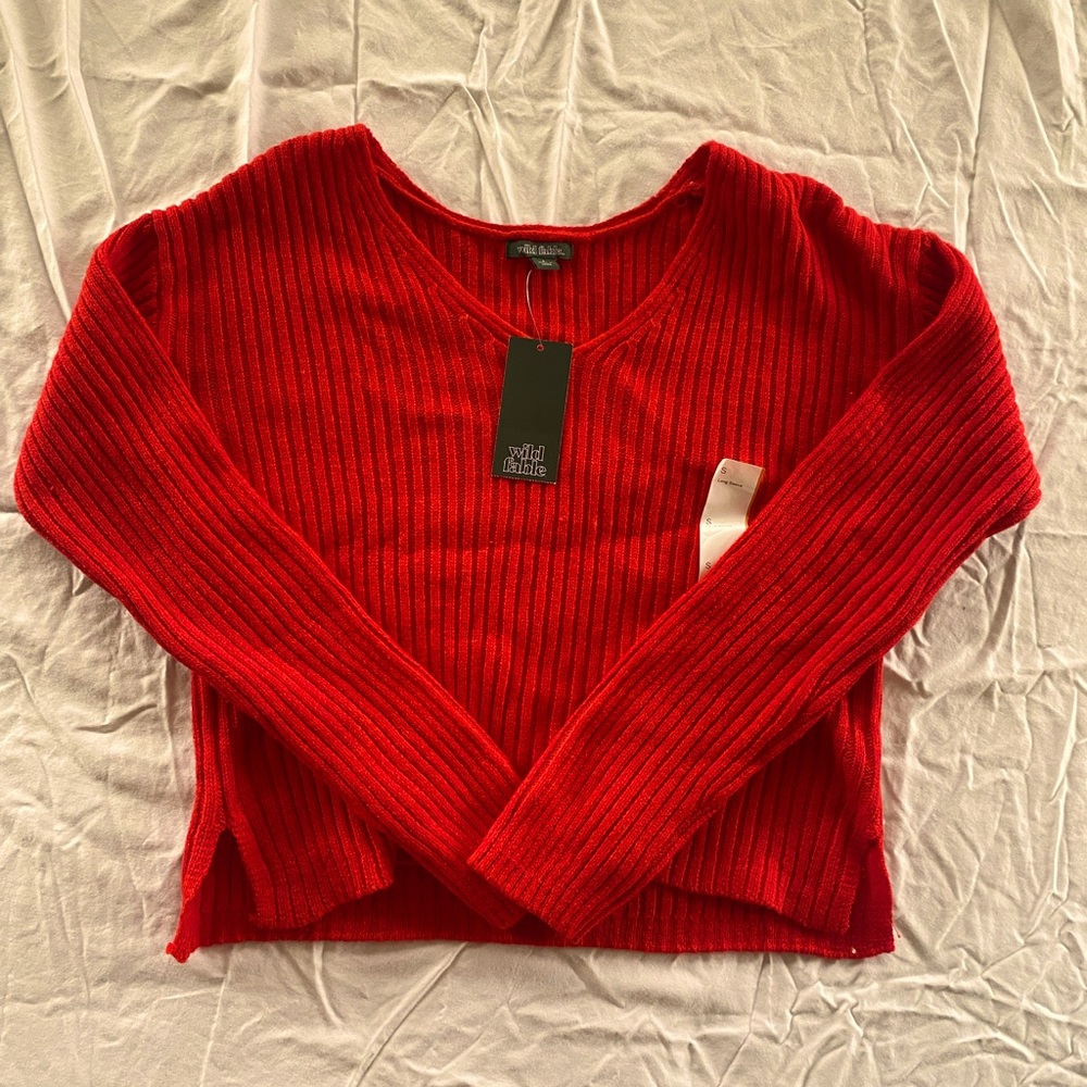 Wild Fable (Target) small red sweater